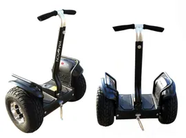 Сигвей WMotion Q7 19 дюймов Черный