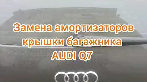 11 ноября 2020 г.